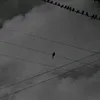 user_12_088