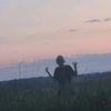 mshqfpv