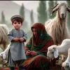 saisat.chakzai