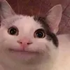 tapochek_postnov17