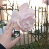 cassandramaria67