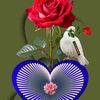md.majidul34