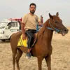 user19012235053365