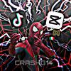 crashdg2099