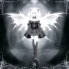 elitaeditor