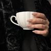 heba.abubaker