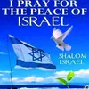 michael.shalom6
