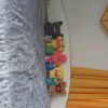 fugglers27