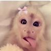 reesewalker10