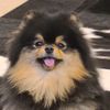 taetaecutenose