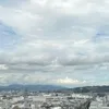 るるかのネット情報