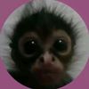rahaisy6
