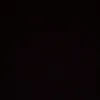 pedroo_hty
