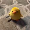 rava_765