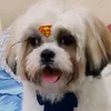 www.kaaaaaty
