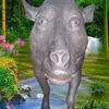 kaaban_hii