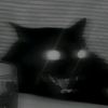 valber_2004