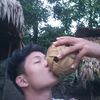 user5225822088616
