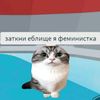 _alisiki_