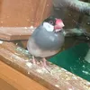 zzzzzz_zzzzzz_zzzzzz