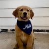 the_balla_nala
