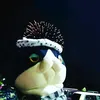 kagu_02