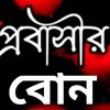 probasir_bon