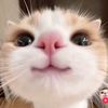 user23015_