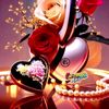 eyasin.arafat70667
