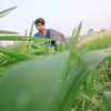rk.roton.king