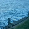 lemppe008