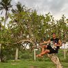 socrazy96