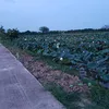 chng.kim.vn