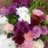 doly0104