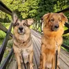 atlas.and.max