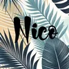 nico07786