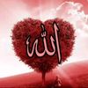 touqer17