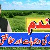 farming.education