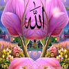 user8100367810901