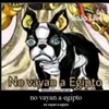 novallanaegpito66