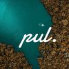 pul8619