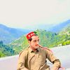 bashir_510