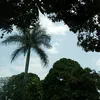 anamariamanotas2