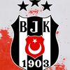 19bjk03krem