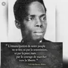 beaka23