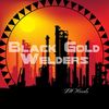 blackgoldwelders