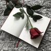 rubi.akter376