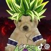liamcito140