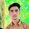 zaib.arman76