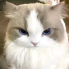 hnndlst3